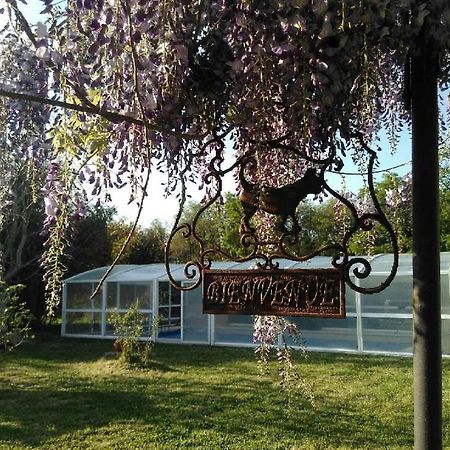 Bed and Breakfast La Ferme du Bien Etre Athée-sur-Cher Exterior foto